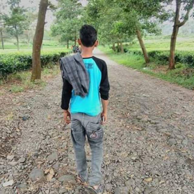 shinjionofamabongasanzemer