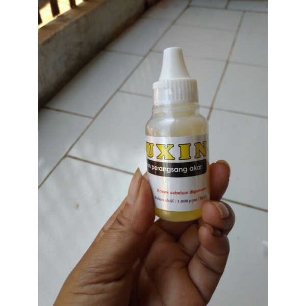 AUXIN. obat cairan perangsang akar stek, akar cangkok dll