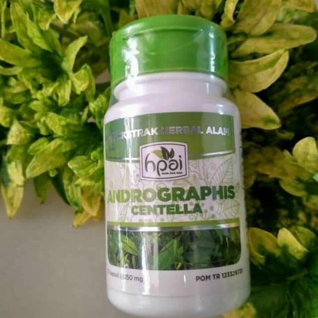 Andrographis Centella Hni Hpai Obat Antibiotik Alami Influenza Batuk Shopee Indonesia