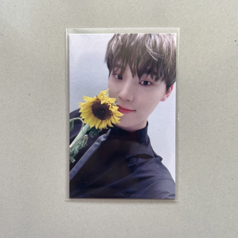 (BOOKED) SEVENTEEN Gongbang GB Broadcast Sunflower Dino PC Photocard (rare)