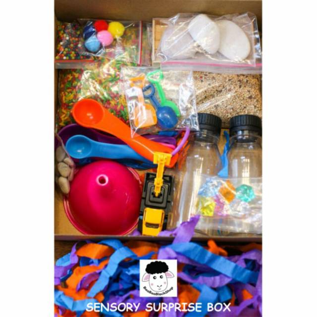 MONTESSORI SENSORY BOX MAINAN SENSORI ANAK