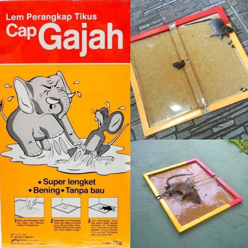 Lem Perangkap Tikus Cap Gajah Model Buku Papan 70gr