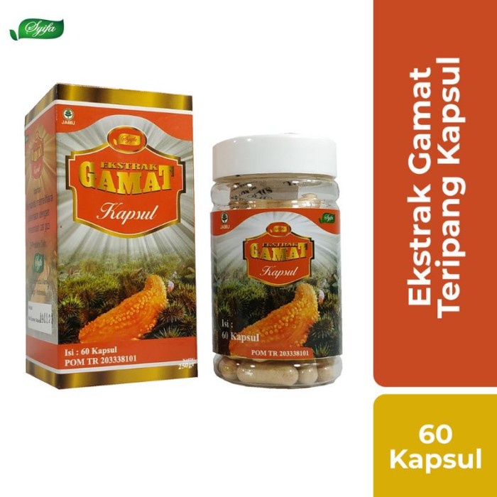 kapsul gamat / herbal gamat / gamat emas / gamat emas syifa