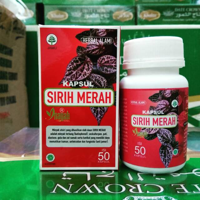 

Kapsul Ekstrak Sirih Merah Inayah Herbal Alami