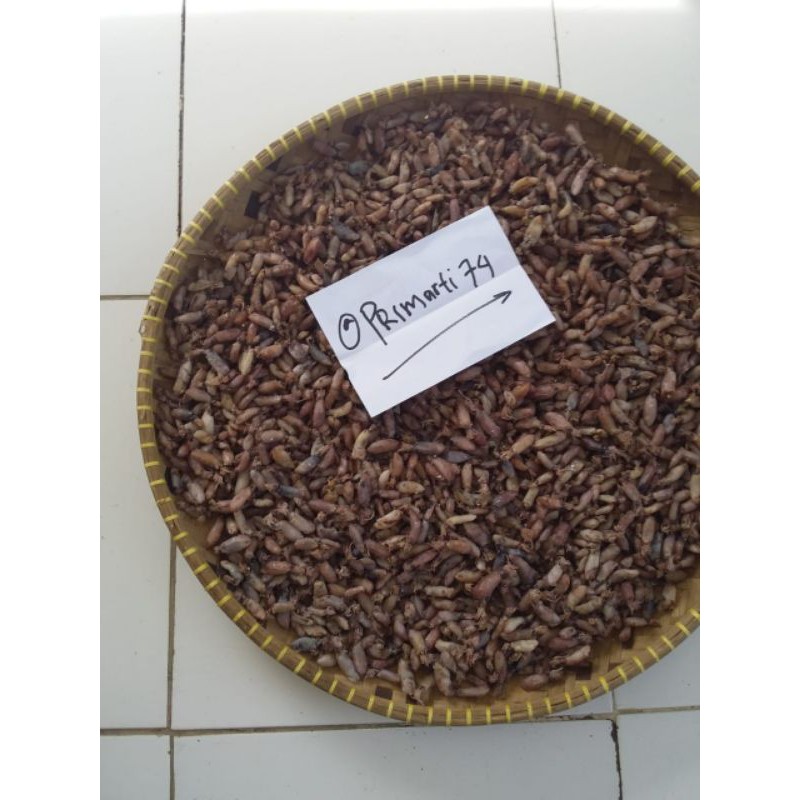 

BABY CUMI KERING 0,5 - 2 cm