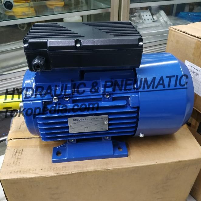 1 Phase Motor Dinamo Electric 5.5Hp 4Kw 2 Pole Rpm 2880 Bologna