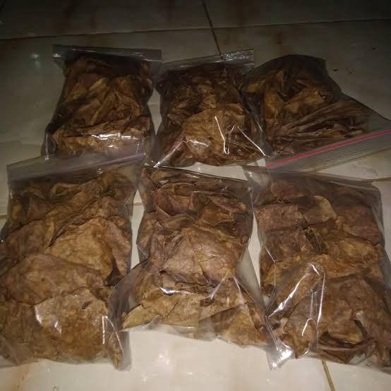 

Daun ketapang 50gram