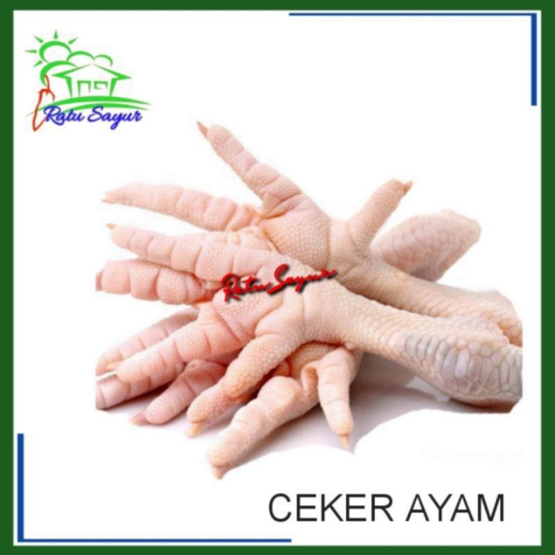 

CEKER AYAM/Ratu Sayur Cikeas[250-500gram]