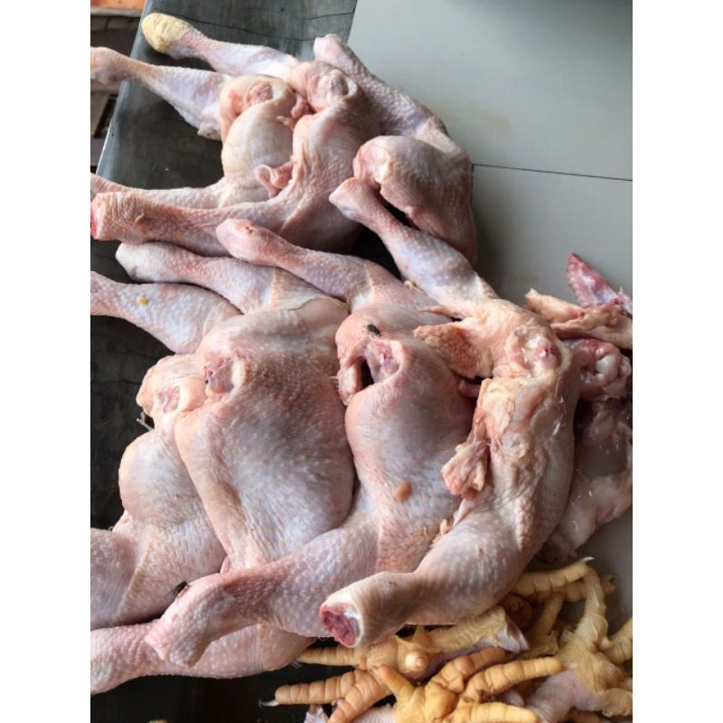 

Ayam Broiler (500 gr)