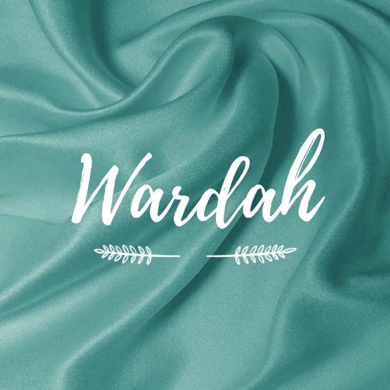 JILBAB INSTAN SALSA AREY OVAL BORDIR KOMBINASI-Wardah