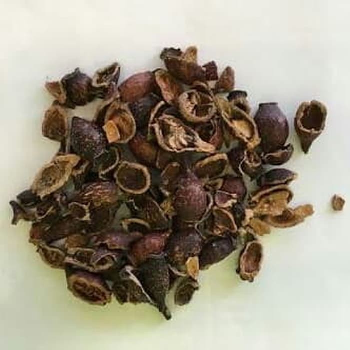 

100 G GR GRAM JIN YING ZI FRUCTUS ROSAE LAEVIGATAE CHEROKEE ROSE FRUIT