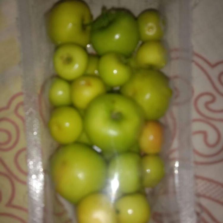 

Q9Y buah bidara arab asli fresh langsung di petik isi 35 buah ➢ (Best Seller)