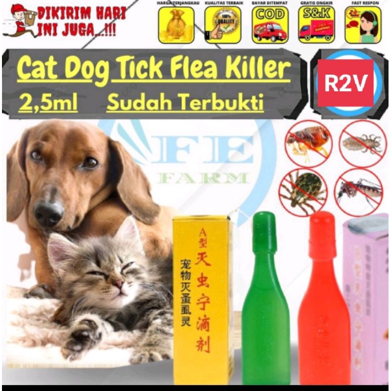 obat kutu kucing anjing ampuh