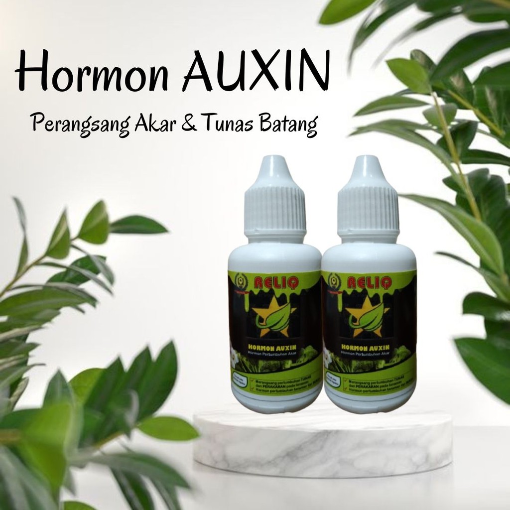 Hormon ZPT Auksin, Hormon Auksin Perangsang Akar Tanaman, RELIQ Hormon auxin stek cangkok