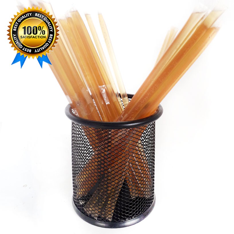 Honey Stick Madu untuk Belajar bonding menjinakkan sugar glider