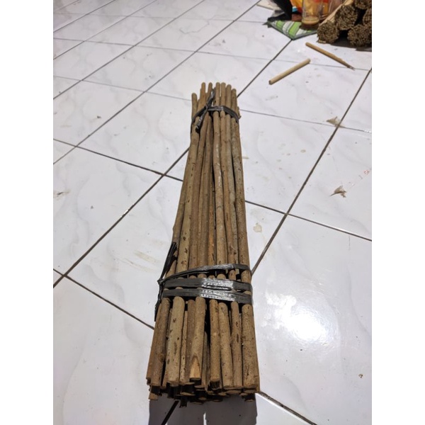 Tangkringan asem bali halus burung murai