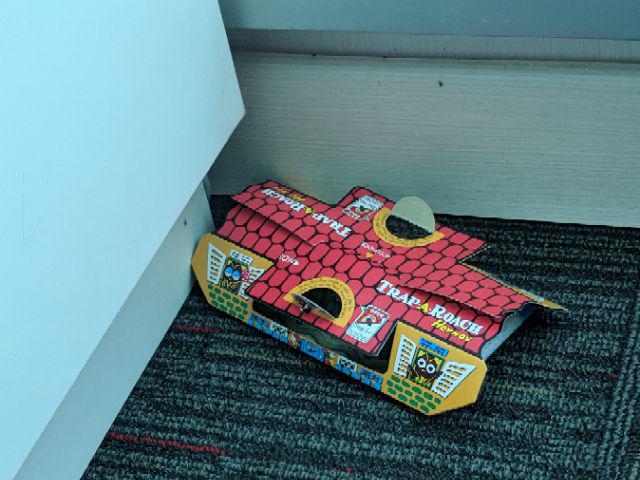 Basmi Kecoa Di Rumah Dengan 5 Trap / Perangkap / Rumah Kecoa Hoy Hoy