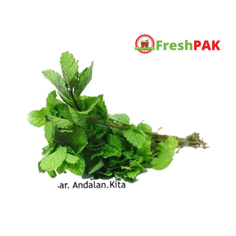 

FreshPAK - Daun Mint Fresh 100gr / Sayur Segar / Sayuran Segar