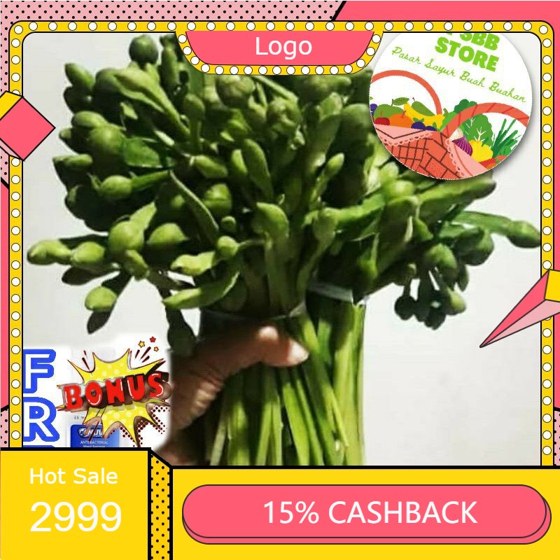 

RENGKEK SURABAYA - Sayur Genjer - Per Ikat Isi 3ikat