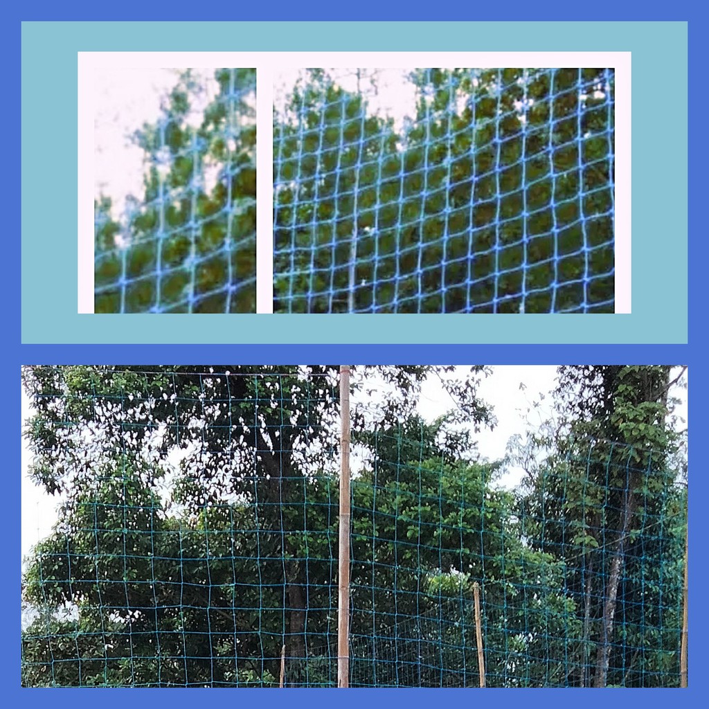 Jaring Pengaman Voli Jaring Pagar Lapangan Voly 2Mm Jaring Lapangan Volly 2Mm