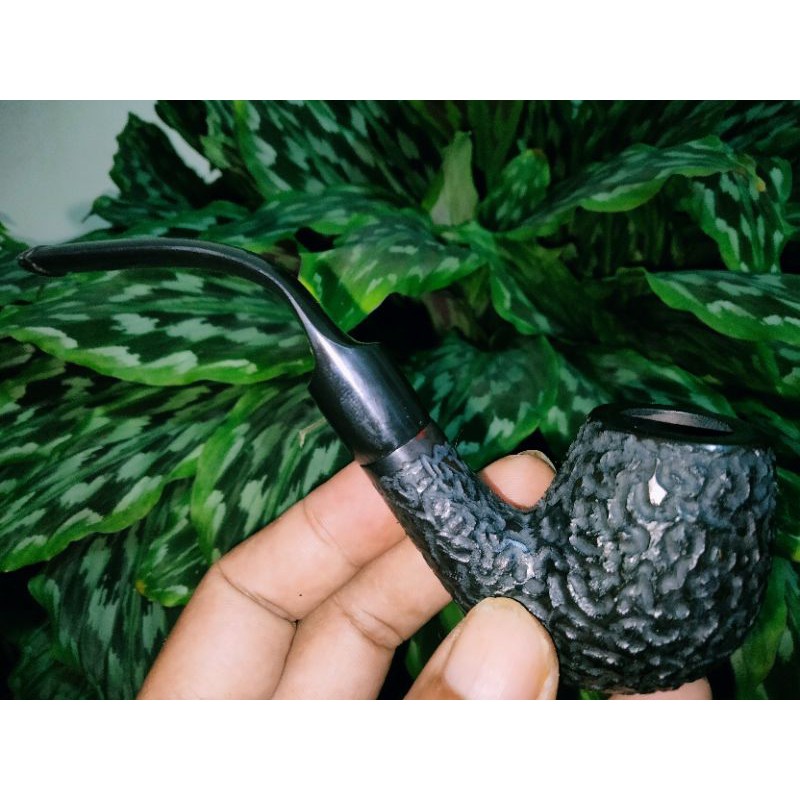 pipa cangklong lokal sytem peterson
