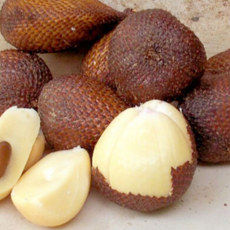 

Buah Salak Pondok 1 Kg Fresh.