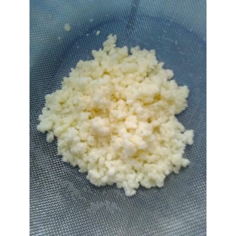 

Grain kefir/BibitKefir