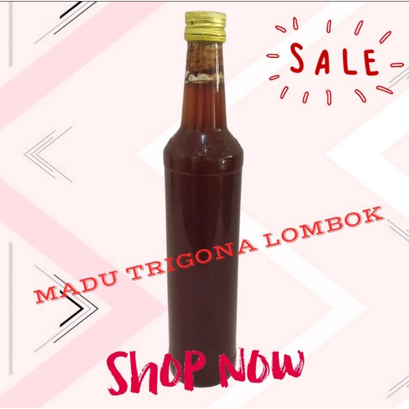 

MADU MURNI TRIGONA ASLI LOMBOK