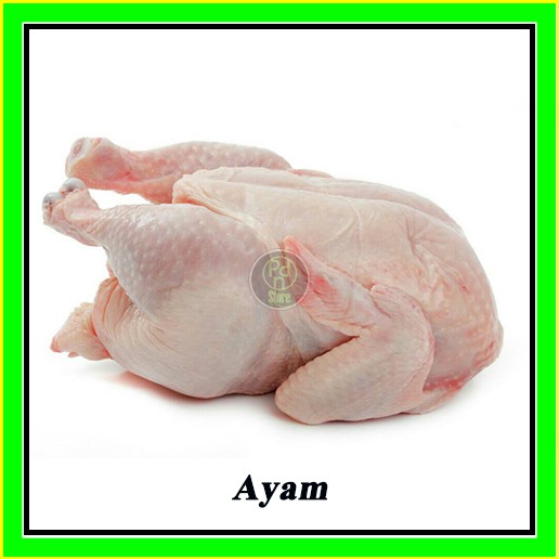 

Ayam Potong