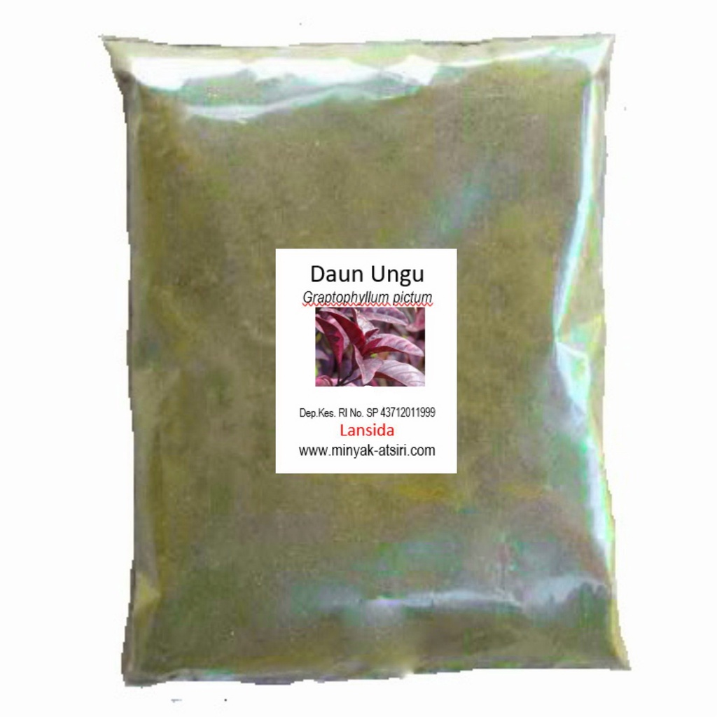 Bubuk Daun Ungu 250 g Serbuk Graptophyllum pictum Simplisia Wungu