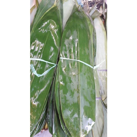 

daun bambu 1iket isi 20 lembar