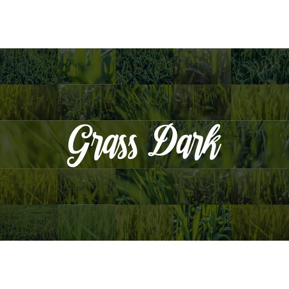 88 Hd Grass Backgrounds Set - JPEG Ultra HD - Stock Photo