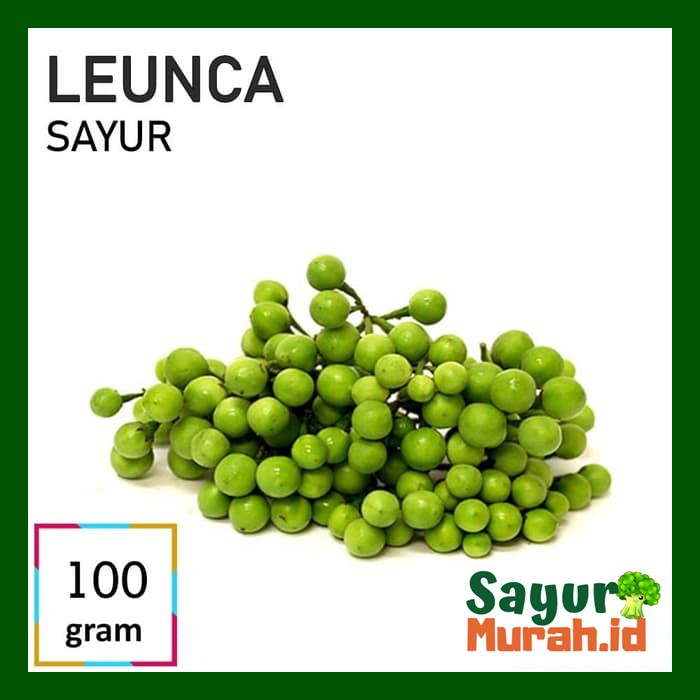 

LEUNCA SAYUR [100g]