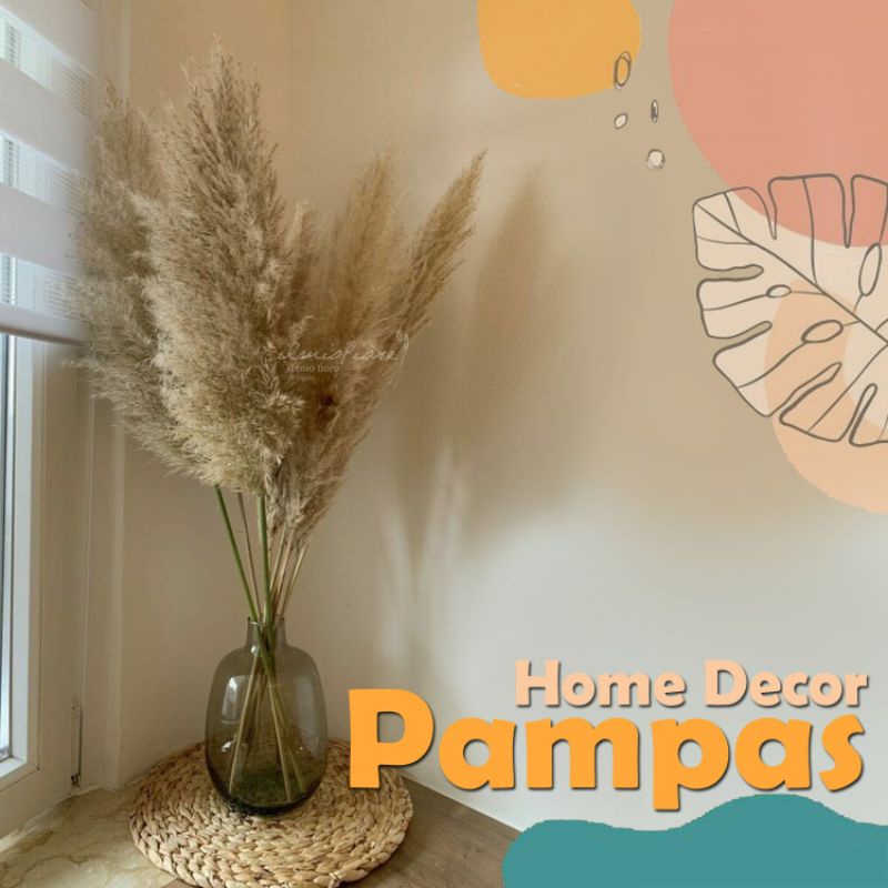Pampas Bulu Lokal Dekorasi Rumah