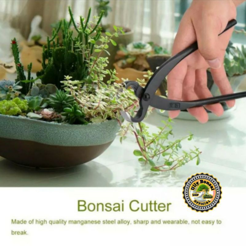 CATOK BONSAI PEMECAH BATANG DAN AKAR 21CM