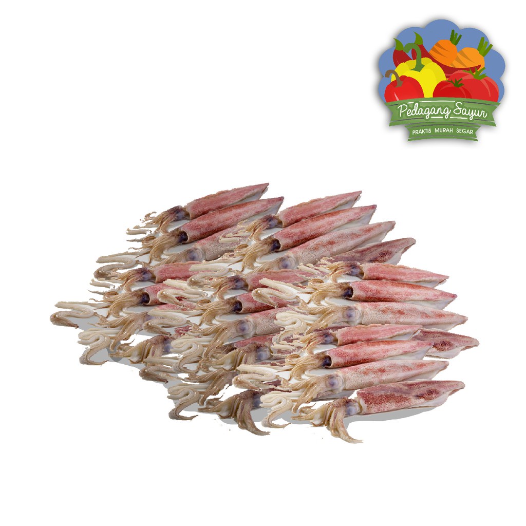

Cumi Sedang - 500 Gram (9-12 Ekor)
