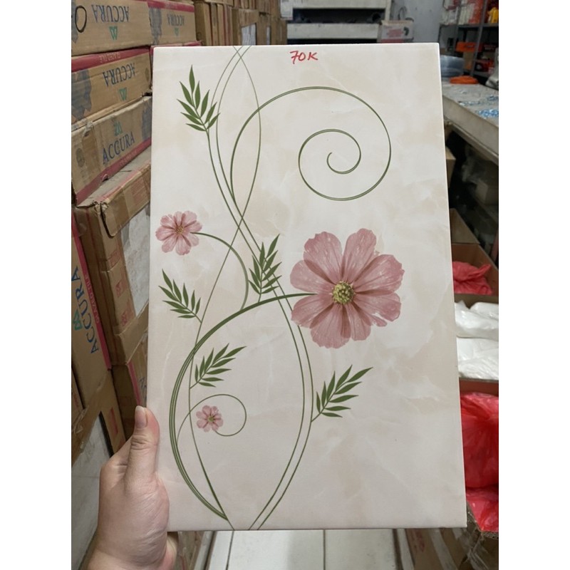 keramik dinding 25x40