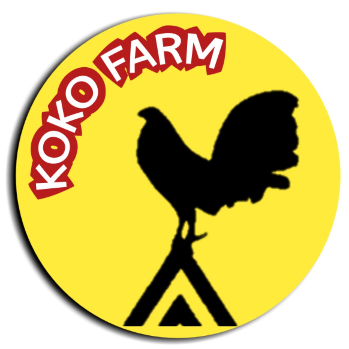 Jual Telur Ayam Import Ori Langsung Dari Thailand : Jual telur ayam