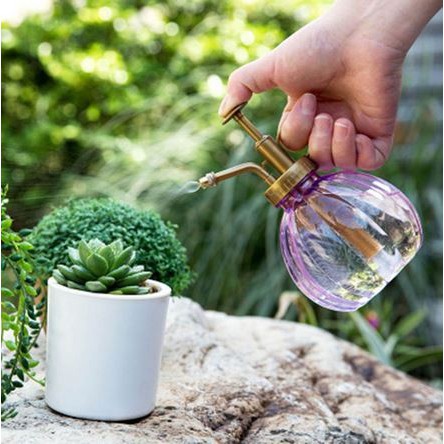 Succulent Watering Spray Bottle - Botol Semprot Pot Tanaman Sukulen