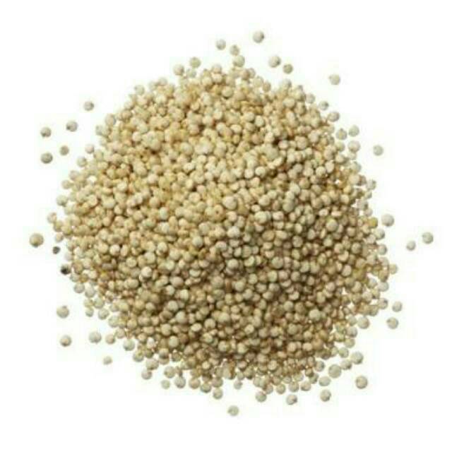 

ORGANIC WHITE QUINOA 500 GRAM
