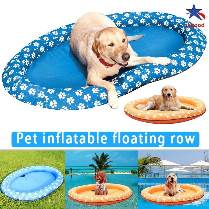dog water toys