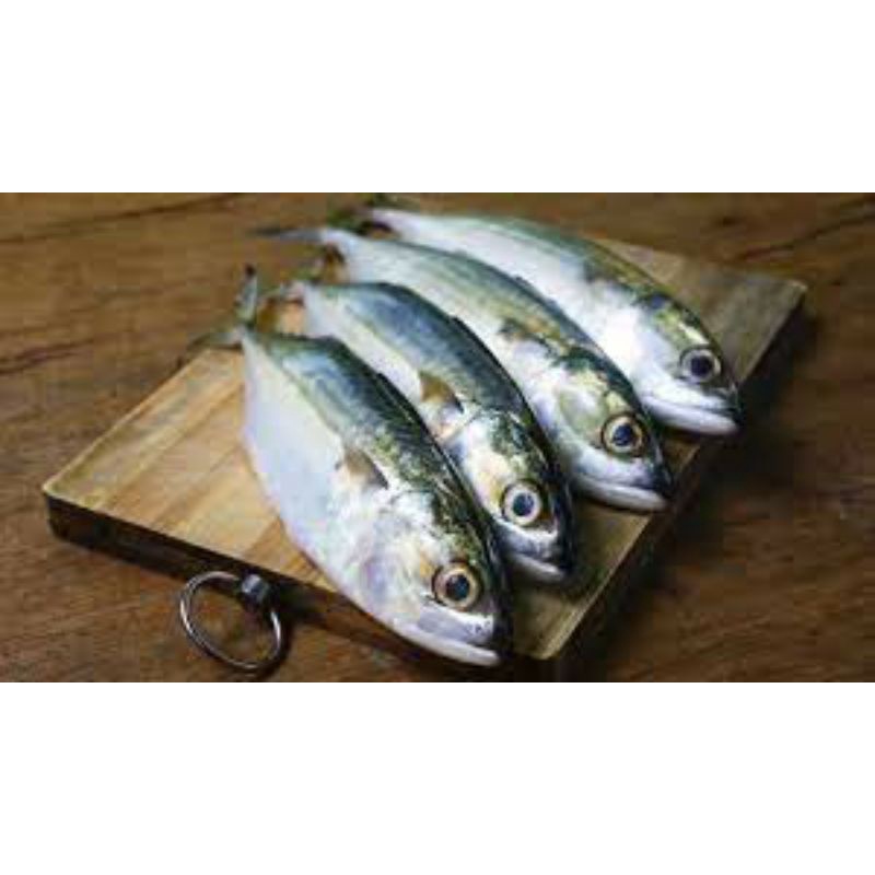 

Ikan Kembung 250 gram