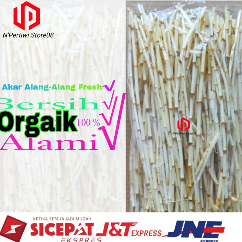 

AKAR ALANG ALANG SEGAR 500gNew Promo