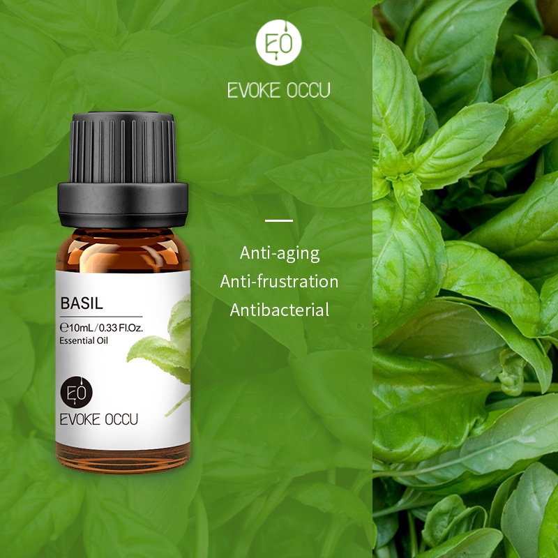 Evoke Occu - Basil 10ml Essential Oil Minyak Aroma Terapi Diffuser Humidifier Natural Relax Fresh Candle Soap Bath Aromatherapy