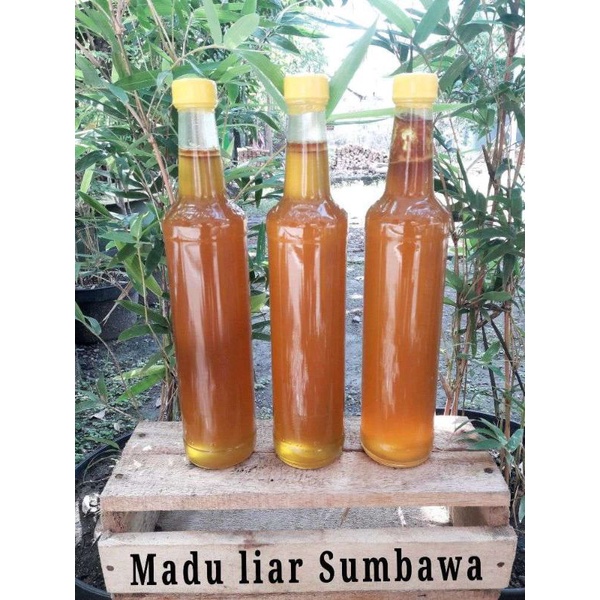 

madu asli khas sumbawa
