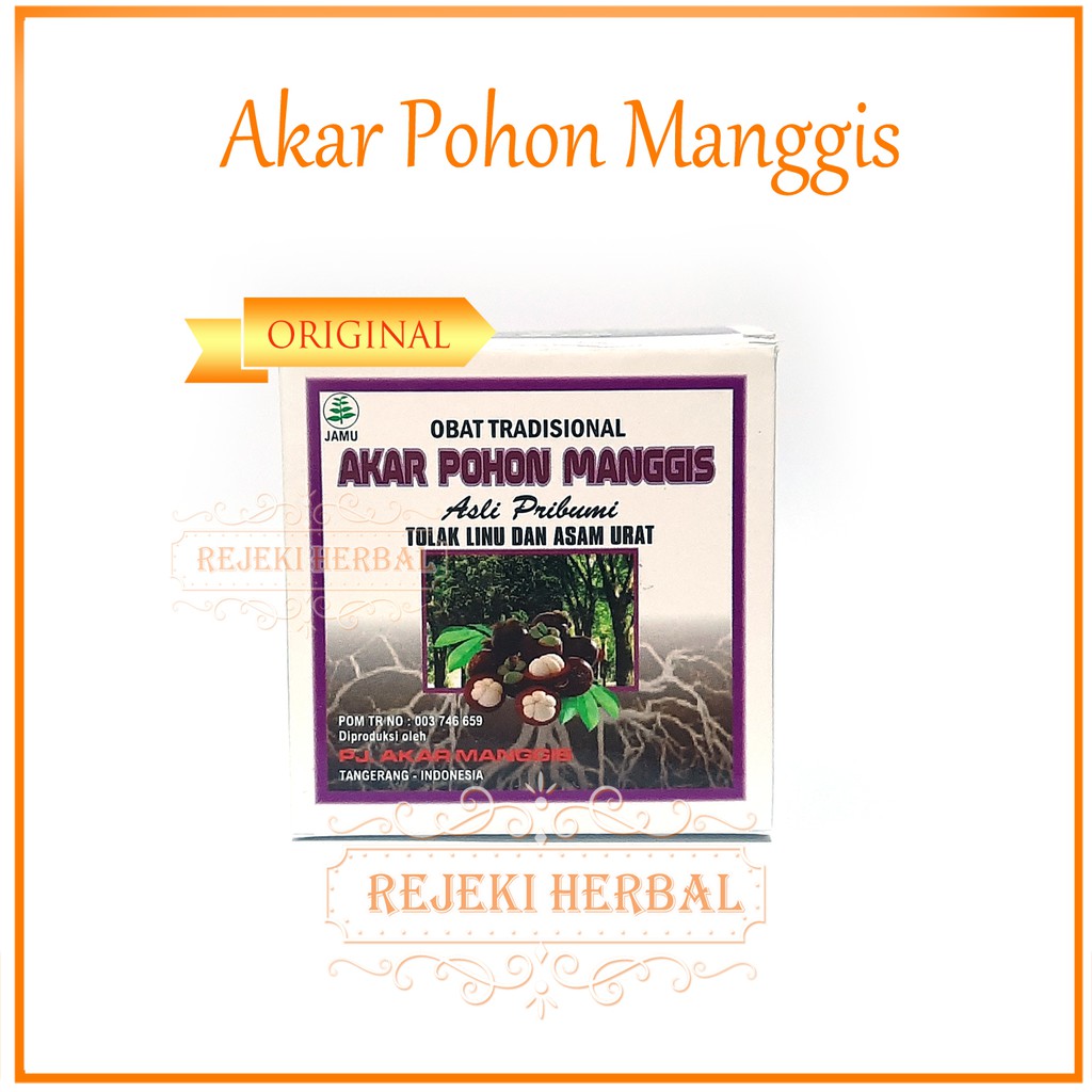 Kapsul Akar Pohon Manggis / Akar Manggis  ORIGINAL