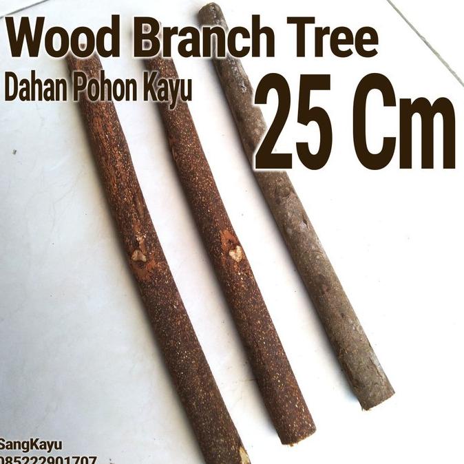 

[ Promo ] Wood Branch Tree 1-2X25 Cm Dahan Kayu Potongan Kayu Bahan