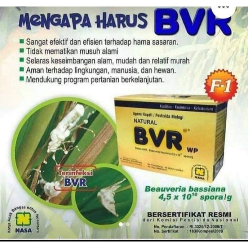 BVR NASA