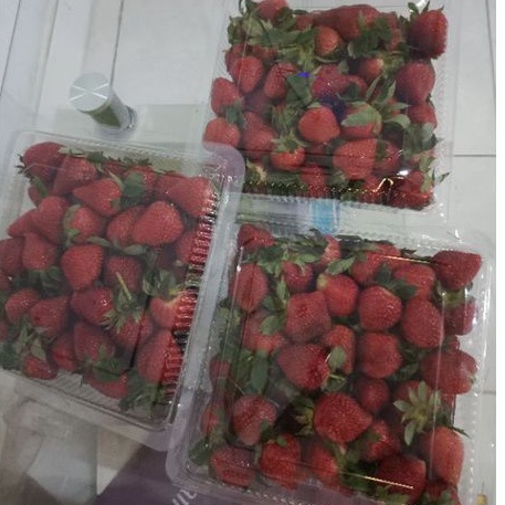 

stroberi fresh grade A