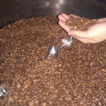 

Arabica Kintamani - Ulian
